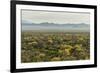 USA, Arizona, Saguaro National Park. Desert Landscape-Cathy & Gordon Illg-Framed Photographic Print