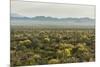 USA, Arizona, Saguaro National Park. Desert Landscape-Cathy & Gordon Illg-Mounted Photographic Print