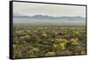 USA, Arizona, Saguaro National Park. Desert Landscape-Cathy & Gordon Illg-Framed Stretched Canvas