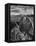 USA, Arizona, Saguaro National Park. Petroglyphs on Signal Hill-Dennis Flaherty-Framed Stretched Canvas