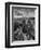 USA, Arizona, Saguaro National Park. Petroglyphs on Signal Hill-Dennis Flaherty-Framed Premium Photographic Print