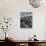 USA, Arizona, Saguaro National Park. Petroglyphs on Signal Hill-Dennis Flaherty-Photographic Print displayed on a wall