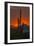 USA, Arizona, Saguaro National Park. Sunset on Desert Landscape-Cathy & Gordon Illg-Framed Photographic Print