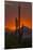 USA, Arizona, Saguaro National Park. Sunset on Desert Landscape-Cathy & Gordon Illg-Mounted Premium Photographic Print