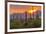 USA, Arizona, Saguaro National Park. Sunset on Desert Landscape-Cathy & Gordon Illg-Framed Photographic Print