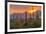 USA, Arizona, Saguaro National Park. Sunset on Desert Landscape-Cathy & Gordon Illg-Framed Photographic Print