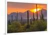 USA, Arizona, Saguaro National Park. Sunset on Desert Landscape-Cathy & Gordon Illg-Framed Premium Photographic Print