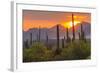 USA, Arizona, Saguaro National Park. Sunset on Desert Landscape-Cathy & Gordon Illg-Framed Photographic Print