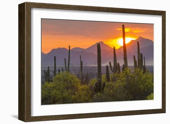 USA, Arizona, Saguaro National Park. Sunset on Desert Landscape-Cathy & Gordon Illg-Framed Photographic Print