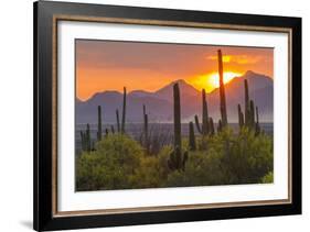 USA, Arizona, Saguaro National Park. Sunset on Desert Landscape-Cathy & Gordon Illg-Framed Photographic Print