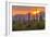 USA, Arizona, Saguaro National Park. Sunset on Desert Landscape-Cathy & Gordon Illg-Framed Photographic Print