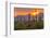 USA, Arizona, Saguaro National Park. Sunset on Desert Landscape-Cathy & Gordon Illg-Framed Photographic Print