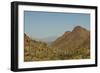 USA, Arizona, Saguaro National Park. Valley in Desert Landscape-Cathy & Gordon Illg-Framed Photographic Print