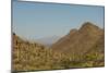 USA, Arizona, Saguaro National Park. Valley in Desert Landscape-Cathy & Gordon Illg-Mounted Photographic Print