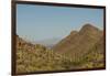 USA, Arizona, Saguaro National Park. Valley in Desert Landscape-Cathy & Gordon Illg-Framed Premium Photographic Print