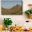 USA, Arizona, Saguaro National Park. Valley in Desert Landscape-Cathy & Gordon Illg-Mounted Premium Photographic Print displayed on a wall