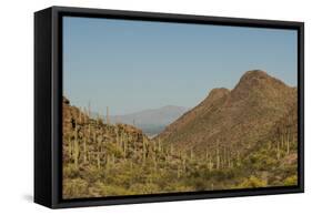 USA, Arizona, Saguaro National Park. Valley in Desert Landscape-Cathy & Gordon Illg-Framed Stretched Canvas