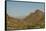 USA, Arizona, Saguaro National Park. Valley in Desert Landscape-Cathy & Gordon Illg-Framed Stretched Canvas