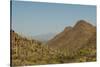 USA, Arizona, Saguaro National Park. Valley in Desert Landscape-Cathy & Gordon Illg-Stretched Canvas