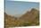 USA, Arizona, Saguaro National Park. Valley in Desert Landscape-Cathy & Gordon Illg-Stretched Canvas
