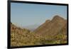 USA, Arizona, Saguaro National Park. Valley in Desert Landscape-Cathy & Gordon Illg-Framed Photographic Print