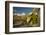 USA, Arizona, Saguaro NP. Close-up of Saguaro Cactus Blossoms-Cathy & Gordon Illg-Framed Photographic Print