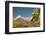 USA, Arizona, Saguaro NP. Close-up of Saguaro Cactus Blossoms-Cathy & Gordon Illg-Framed Photographic Print