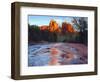 USA, Arizona, Sedona. Cathedral Rock Reflecting in Oak Creek-Jaynes Gallery-Framed Photographic Print