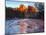 USA, Arizona, Sedona. Cathedral Rock Reflecting in Oak Creek-Jaynes Gallery-Mounted Photographic Print