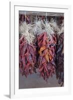USA, Arizona, Sedona. Hanging dried chili peppers-Kevin Oke-Framed Premium Photographic Print