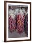 USA, Arizona, Sedona. Hanging dried chili peppers-Kevin Oke-Framed Premium Photographic Print