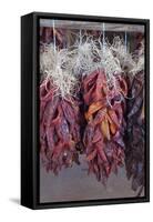 USA, Arizona, Sedona. Hanging dried chili peppers-Kevin Oke-Framed Stretched Canvas