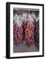 USA, Arizona, Sedona. Hanging dried chili peppers-Kevin Oke-Framed Photographic Print