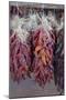 USA, Arizona, Sedona. Hanging dried chili peppers-Kevin Oke-Mounted Photographic Print