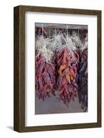 USA, Arizona, Sedona. Hanging dried chili peppers-Kevin Oke-Framed Photographic Print