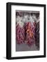 USA, Arizona, Sedona. Hanging dried chili peppers-Kevin Oke-Framed Photographic Print