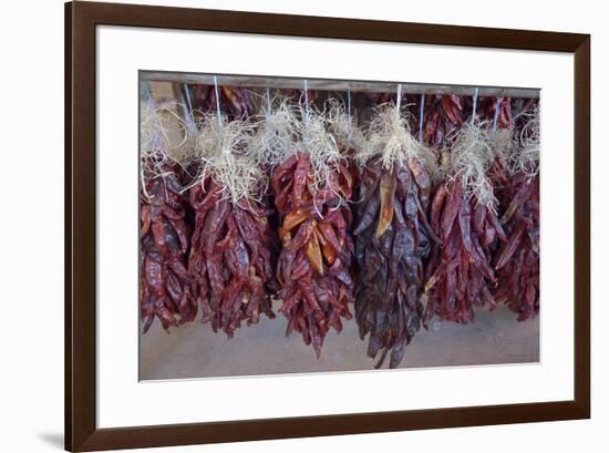 USA, Arizona, Sedona. Hanging dried chili peppers-Kevin Oke-Framed Premium Photographic Print