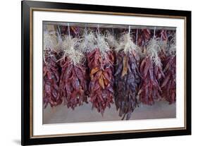 USA, Arizona, Sedona. Hanging dried chili peppers-Kevin Oke-Framed Premium Photographic Print