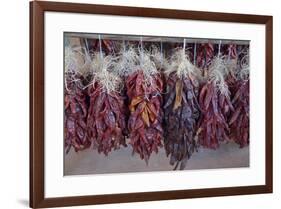 USA, Arizona, Sedona. Hanging dried chili peppers-Kevin Oke-Framed Premium Photographic Print