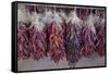 USA, Arizona, Sedona. Hanging dried chili peppers-Kevin Oke-Framed Stretched Canvas