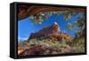 USA, Arizona, Sedona. Juniper Tree Frames Mountain View-Jaynes Gallery-Framed Stretched Canvas