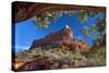 USA, Arizona, Sedona. Juniper Tree Frames Mountain View-Jaynes Gallery-Stretched Canvas