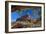 USA, Arizona, Sedona. Juniper Tree Frames Mountain View-Jaynes Gallery-Framed Photographic Print