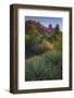 USA, Arizona, Sedona. Landscape with rock formation and cacti.-Jaynes Gallery-Framed Photographic Print