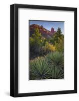 USA, Arizona, Sedona. Landscape with rock formation and cacti.-Jaynes Gallery-Framed Photographic Print