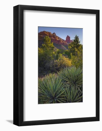 USA, Arizona, Sedona. Landscape with rock formation and cacti.-Jaynes Gallery-Framed Photographic Print