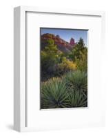 USA, Arizona, Sedona. Landscape with rock formation and cacti.-Jaynes Gallery-Framed Photographic Print