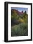 USA, Arizona, Sedona. Landscape with rock formation and cacti.-Jaynes Gallery-Framed Photographic Print