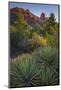 USA, Arizona, Sedona. Landscape with rock formation and cacti.-Jaynes Gallery-Mounted Photographic Print