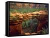 USA, Arizona, Sedona. Natural Sandstone Bridge-Jaynes Gallery-Framed Stretched Canvas